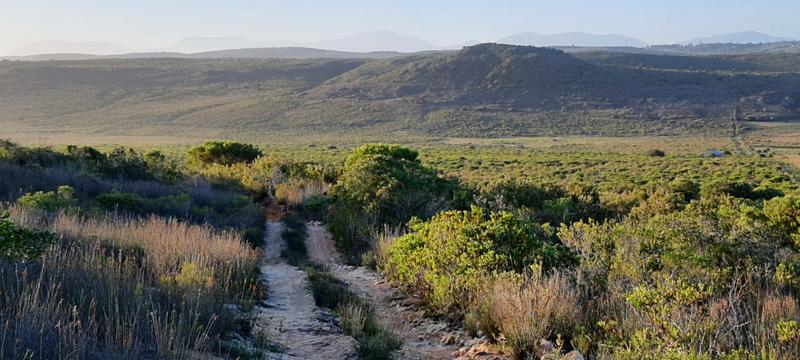 0 Bedroom Property for Sale in Albertinia Western Cape